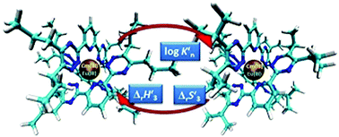 Graphical abstract: 2,6-Bis(5,6-diisopropyl-1,2,4-triazin-3-yl)pyridine: a highly selective N-donor ligand studied by TRLFS, liquid–liquid extraction and molecular dynamics