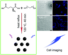 Graphical abstract: Facile heat reflux synthesis of blue luminescent carbon dots as optical nanoprobes for cellular imaging