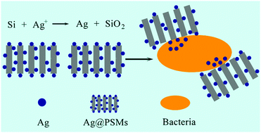 Graphical abstract: Preparation, characterization and antibiotic properties of silver–silicon nanocomposites