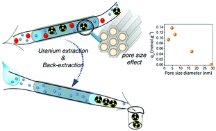 Graphical abstract: The effect of pore diameter in the arrangement of chelating species grafted onto silica surfaces with application to uranium extraction