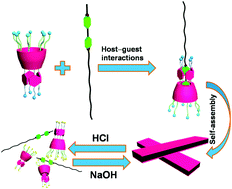 Graphical abstract: A cavity extended water-soluble resorcin[4]arene: synthesis, pH-controlled complexation with paraquat, and application in controllable self-assembly