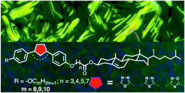 Graphical abstract: Nonsymmetrical cholesterol dimers constituting regioisomeric oxadiazole and thiadiazole cores: an investigation of the structure–property correlation