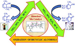 Graphical abstract: Molybdenum complexes with a μ-O{MoO2}2 core: their synthesis, crystal structure and application as catalysts for the oxidation of bicyclic alcohols using N-based additives