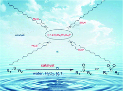 Graphical abstract: Hydrophilic phase transfer catalyst based on the sulfoacid group and polyoxometalate for the selective oxidation of sulfides in water with hydrogen peroxide