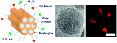 Graphical abstract: Theranostic hexosomes for cancer treatments: an in vitro study