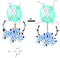 Graphical abstract: Application of graphene quantum dots functionalized with thymine and thymine-appended zinc phthalocyanine as novel photoluminescent nanoprobes