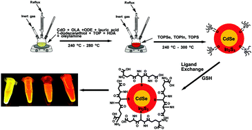 Graphical abstract: Nanofabricated optical tuning and epitaxial overgrowth of In2S3 shells on CdSe cores