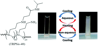 Graphical abstract: From LCST to UCST: the phase separation behaviour of thermo-responsive polysiloxanes with the solubility parameters of solvents