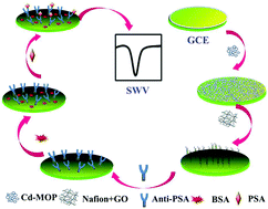 Graphical abstract: Hollow metal–organic nanoparticles as redox species for label-free voltammetric immunoassay of prostate specific antigen