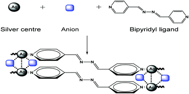 Graphical abstract: Ag(i) bipyridyl coordination polymers containing functional anions