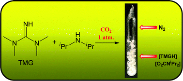 Graphical abstract: Synthesis and study of the stability of amidinium/guanidinium carbamates of amines and α-amino acids