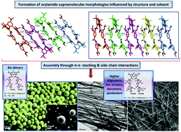 Graphical abstract: Characterization of aggregated morphologies derived from mono- and bis-arylbenzamides – potential alpha-helix mimetics