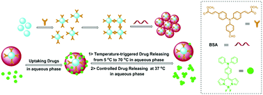 Graphical abstract: BSA-coated fluorescent organic–inorganic hybrid silica nanoparticles: preparation and drug delivery