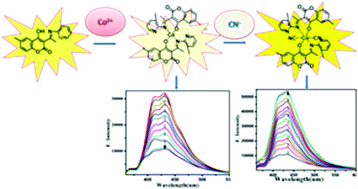 Graphical abstract: Effective ensemble system for the identification of CN− based on a cobalt(ii) complex: a logic gate mimic