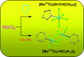 Graphical abstract: Unusual activation pathways of amines in the reactions with molybdenum pentachloride