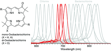 Graphical abstract: Synthesis, photophysics and electronic structure of oxobacteriochlorins