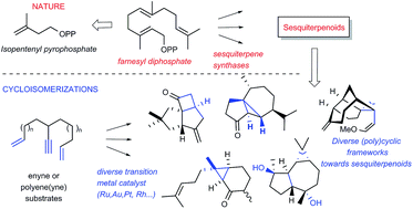 Graphical abstract: Metal-catalyzed cycloisomerization as a powerful tool in the synthesis of complex sesquiterpenoids