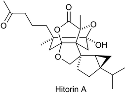 Graphical abstract: Hot off the press