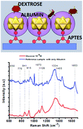 Graphical abstract: Nanomolar detection of glucose using SERS substrates fabricated with albumin coated gold nanoparticles