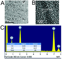 Graphical abstract: A facile solution-phase synthesis of cobalt phosphide nanorods/hollow nanoparticles