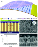 Graphical abstract: CdS nanorods/organic hybrid LED array and the piezo-phototronic effect of the device for pressure mapping