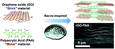 Graphical abstract: Nacre-inspired integrated strong and tough reduced graphene oxide–poly(acrylic acid) nanocomposites