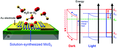 Graphical abstract: Trap-induced photoresponse of solution-synthesized MoS2
