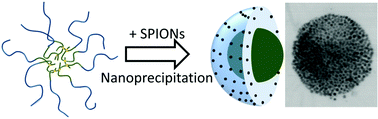 Graphical abstract: Stable, polymer-directed and SPION-nucleated magnetic amphiphilic block copolymer nanoprecipitates with readily reversible assembly in magnetic fields