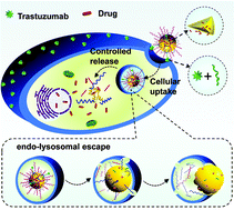 Graphical abstract: Inspired by nonenveloped viruses escaping from endo-lysosomes: a pH-sensitive polyurethane micelle for effective intracellular trafficking