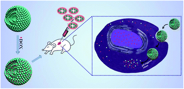 Graphical abstract: Tunable construction of multi-shelled hollow carbonate nanospheres and their potential applications