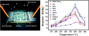Graphical abstract: 2D-MoO3 nanosheets for superior gas sensors