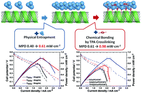 Graphical abstract: Development of a glucose oxidase-based biocatalyst adopting both physical entrapment and crosslinking, and its use in biofuel cells