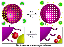 Graphical abstract: Hollow mesoporous raspberry-like colloids with removable caps as photoresponsive nanocontainers