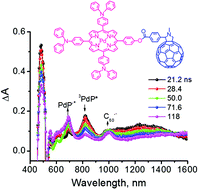 Graphical abstract: Modulating the generation of long-lived charge separated states exclusively from the triplet excited states in palladium porphyrin–fullerene conjugates