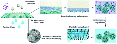 Graphical abstract: In situ ultrafast separation and purification of oil/water emulsions by superwetting TiO2 nanocluster-based mesh