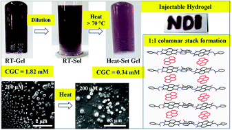 Graphical abstract: First report of charge-transfer induced heat-set hydrogel. Structural insights and remarkable properties