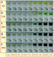 Graphical abstract: Cyano-bridged coordination polymer hydrogel-derived Sn–Fe binary oxide nanohybrids with structural diversity: from 3D, 2D, to 2D/1D and enhanced lithium-storage performance