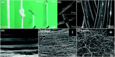 Graphical abstract: Co-effects of matrix low elasticity and aligned topography on stem cell neurogenic differentiation and rapid neurite outgrowth