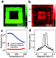 Graphical abstract: Polarity-tunable spin transport in all-oxide multiferroic tunnel junctions