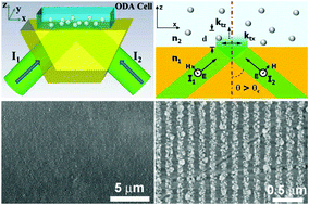 Graphical abstract: Nanostructured grating patterns over a large area fabricated by optically directed assembly