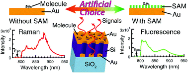 Graphical abstract: The artificial control of enhanced optical processes in fluorescent molecules on high-emittance metasurfaces