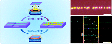 Graphical abstract: Volatile-nanoparticle-assisted optical visualization of individual carbon nanotubes and other nanomaterials