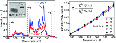 Graphical abstract: Far-field optical nanothermometry using individual sub-50 nm upconverting nanoparticles