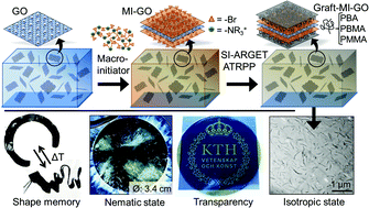 Graphical abstract: Hydrophobic matrix-free graphene-oxide composites with isotropic and nematic states