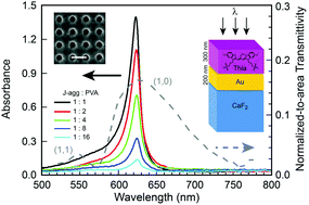 Graphical abstract: The role of Rabi splitting tuning in the dynamics of strongly coupled J-aggregates and surface plasmon polaritons in nanohole arrays