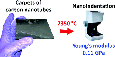 Graphical abstract: Ultra-stiff large-area carpets of carbon nanotubes