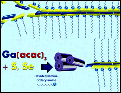 Graphical abstract: Long-chain amine-templated synthesis of gallium sulfide and gallium selenide nanotubes