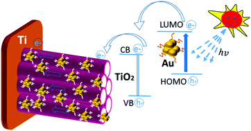 Graphical abstract: Gold nanocluster sensitized TiO2 nanotube arrays for visible-light driven photoelectrocatalytic removal of antibiotic tetracycline