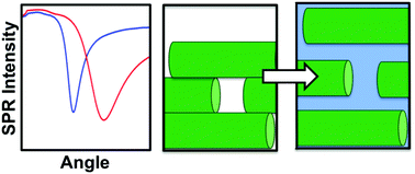 Graphical abstract: Cellulose nanocrystal interactions probed by thin film swelling to predict dispersibility