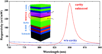 Graphical abstract: Planar microcavity-integrated hot-electron photodetector